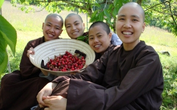 Tiêu thụ có chánh niệm